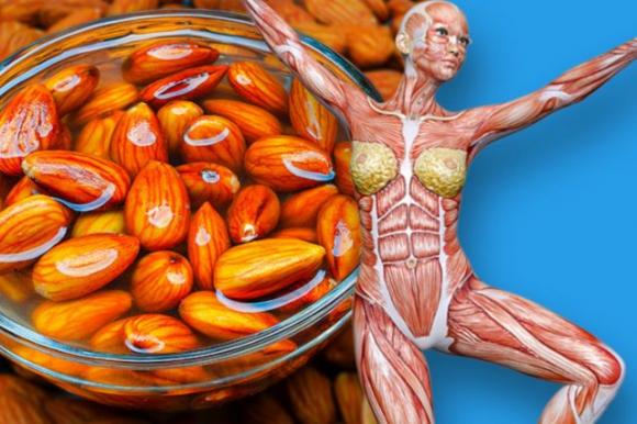 4 cose che accadono al tuo corpo se inizi a mangiare un pugno di mandorle al giorno