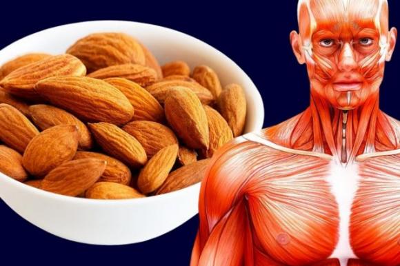 4 cose che accadono al tuo corpo se inizi a mangiare un pugno di mandorle al giorno