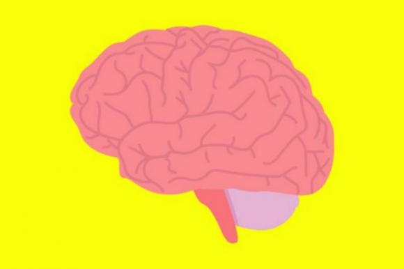 Lo stress e la depressione rimpiccioliscono il cervello, lo rivela uno studio