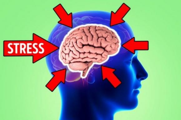 Lo stress e la depressione rimpiccioliscono il cervello, lo rivela uno studio