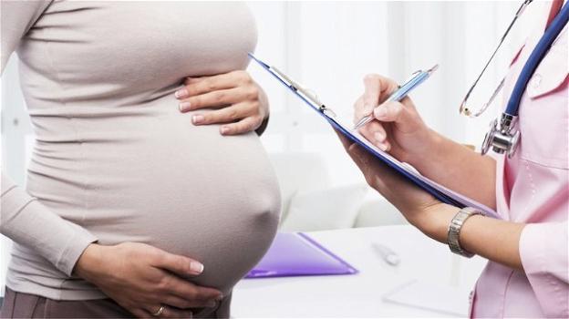 Leucociti nel sangue in gravidanza: cosa fare se i valori sono bassi