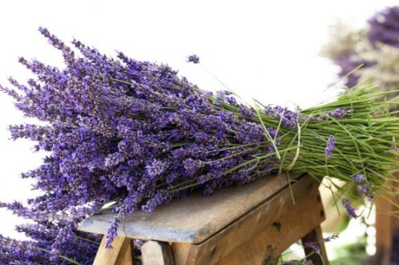 13 ingredienti da aggiungere in vasca che possono migliorare la tua salute