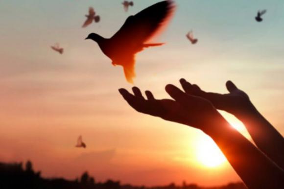 Scegli un simbolo e scopri cosa vuole dirti il tuo spirito