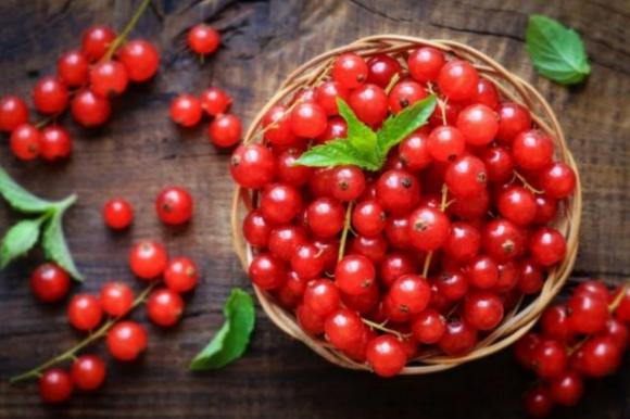 16 alimenti anti-infiammatori che non devono mai mancare nella nostra alimentazione