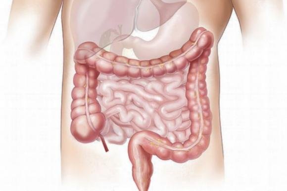 Malattie del colon: se avverti questi 7 sintomi, dovresti urgentemente farti visitare da un medico
