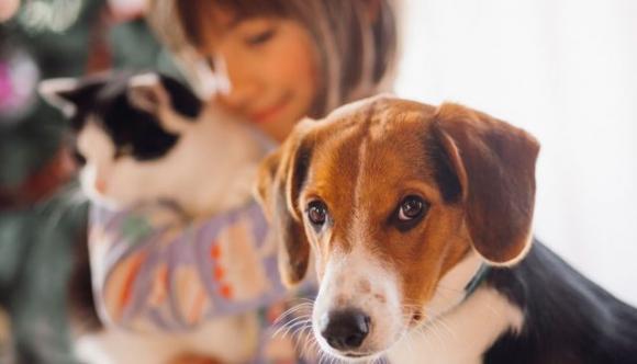 Alcune persone amano i loro animali domestici più di quanto amano gli esseri umani, ecco perché