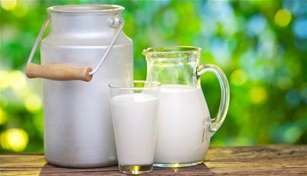 Il latte intero fa invecchiare prima del tempo, lo afferma uno studio