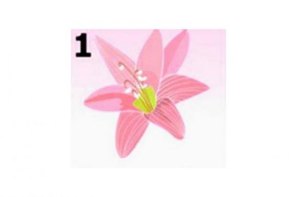 Scegli un fiore e scopri un segreto straordinario sulla tua personalità: