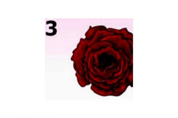 Scegli un fiore e scopri un segreto straordinario sulla tua personalità: