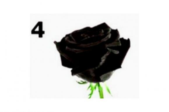 Scegli un fiore e scopri un segreto straordinario sulla tua personalità: