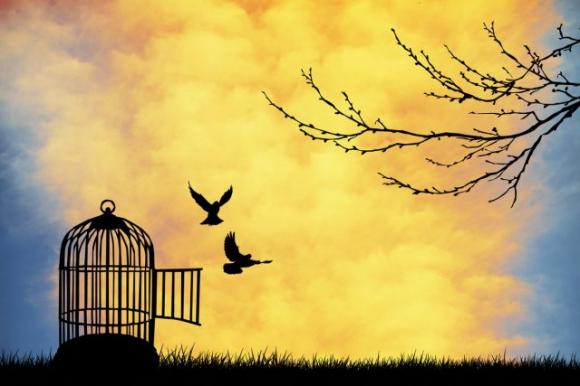 Dove ti sentiresti più al sicuro in questo parco? Scopri alcuni lati del tuo carattere