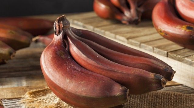 Banane rosse: l’alimento consigliato per migliorare il sistema immunitario