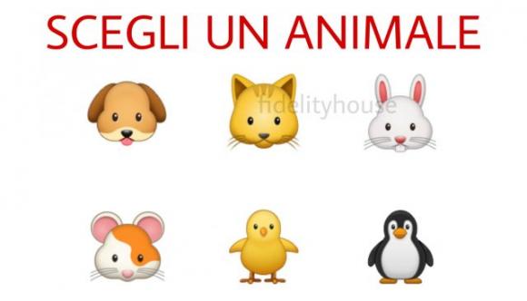 Scegli il tuo animale preferito: scopri chi sei e cosa pensano gli altri di te