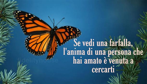 Se vedi una farfalla, l’anima di una persona che hai amato è venuta a cercarti: ecco cosa vuole dirti