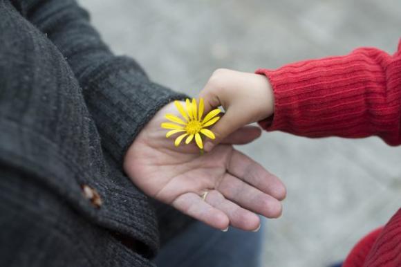 Resta gentile, non permettere che la cattiveria degli altri ti renda insensibile