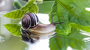 1591360791_5eda3d173b8bc