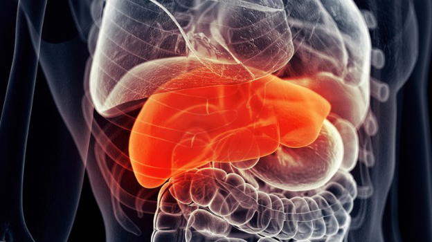 Steatosi epatica, tutto ciò che bisogna sapere