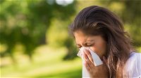 Allergia alle graminacee: cause, fattori di rischio, diagnosi, cura e prevenzione