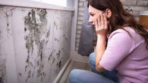 1639660521_61bb3be90c11b