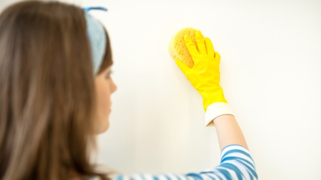 Clean Plus, la vera vernice super lavabile