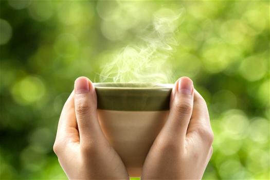 Cupper Teas, bevande biologiche e sostenibili