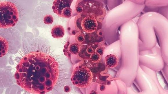 Il nuovo studio cambia tutto, ecco cosa può causare il tumore: saperlo può salvarvi la vita
