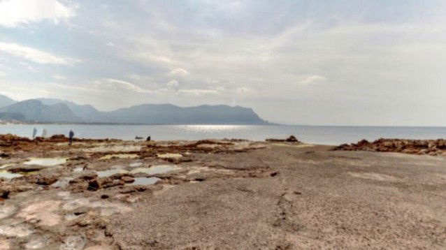 Alga tossica in mare, diverse le segnalazioni. "Non entrate in acqua"