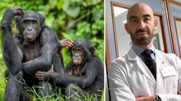 Matteo Bassetti, l’annuncio in diretta: "Ecco i sintomi per riconoscere il vaiolo delle scimmie"