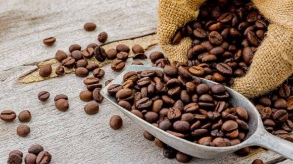 Caffè contaminato: cosa si rischia e qual è il marchio da evitare