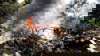 Aereo si schianta al suolo, morti tutti i passeggeri. La situazione