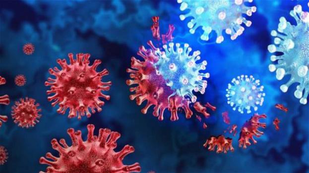Coronavirus e variante Omicron, arriva la conferma dello studio: ecco cosa hanno scoperto