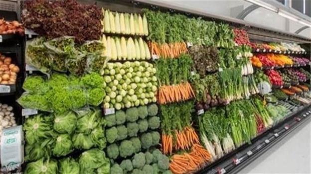 Scatta l’allarme in Italia, verdura velenosa in vendita: è boom di ricoveri