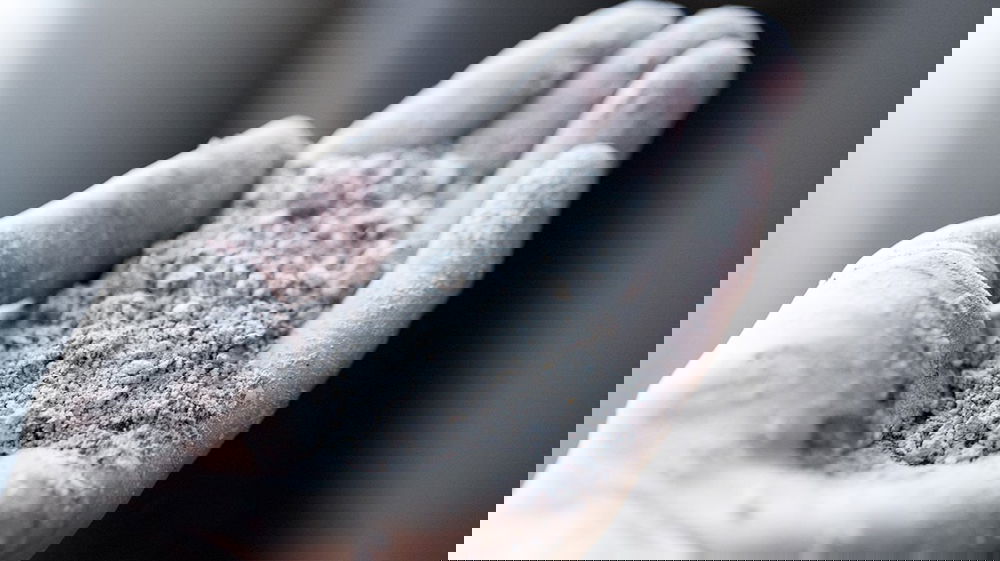 La cenere della legna: ottima per la cura della casa e dell’orto