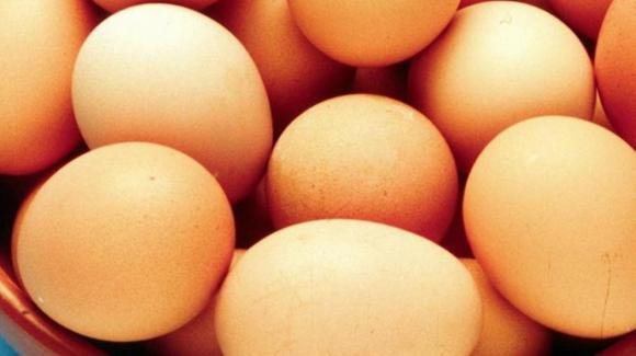 Uova ritirate dai supermercati: "Attenzione, non mangiatele". Marca e lotti