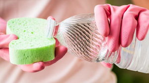 1668339310_6370d66e2f3f8