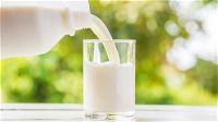Meglio il latte crudo o pastorizzato? Un compromesso tra igiene e salute