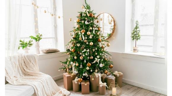 Il regalo di Natale sotto l’albero è choc pure: ci trova un s…