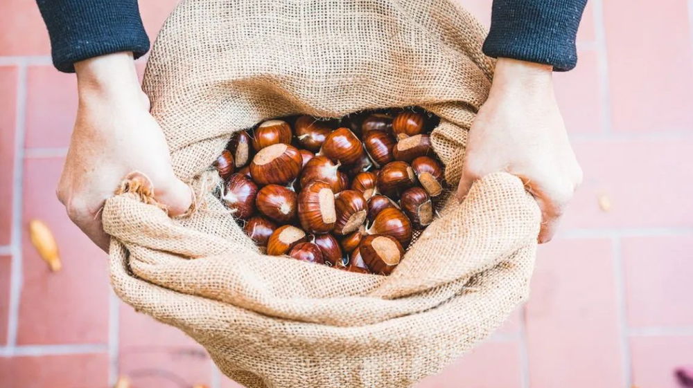 Castagne: uno scrigno di nutrienti per ricaricare corpo e mente