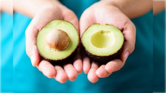L’avocado: un ingrediente prezioso per il nostro benessere