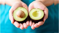 L’avocado: un ingrediente prezioso per il nostro benessere