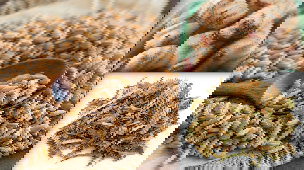 Dal Medioevo, scopriamo i "cibi della gioia"