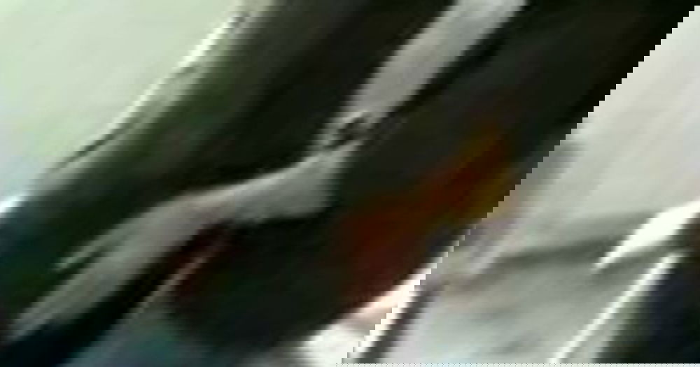 Italia, professoressa si fa toccare le parti intime in aula: il video-scandalo