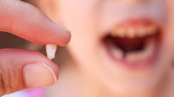 Gli scienziati invitano i genitori a conservare i denti da latte dei propri figli