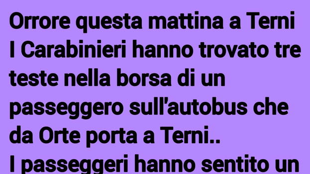 Ragazzo trasportava due teste sul pulman a Terni