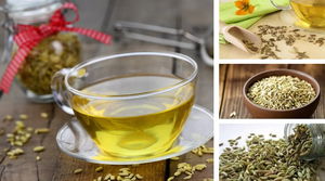 tisana-ai-semi-di-finocchio