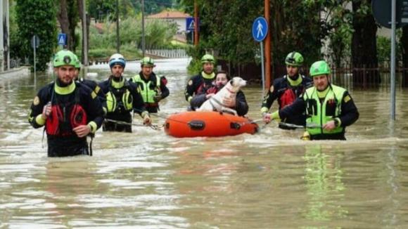 Alluvione Emilia-Romagna, le ultime parole di Giovanni prima di morire
