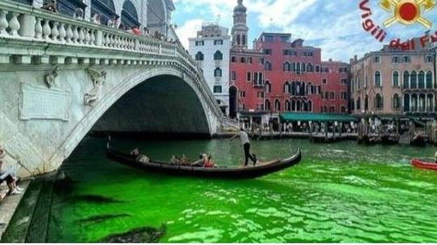 Perché l’acqua del Canal Grande a Venezia è diventata verde