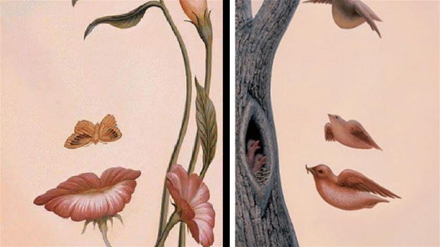 Cosa vedi? Se la tua prima percezione è il volto di una donna fai attenzione