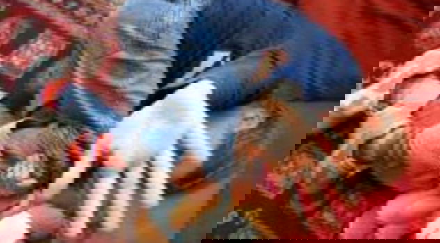Choc puro, mamma uccide il figlio di 5 anni per poi mangiarlo