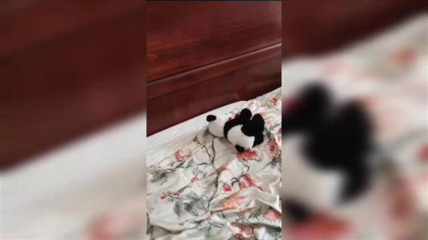Bimba di 5 anni scomparsa in Italia, cos’hanno trovato nella sua cameretta